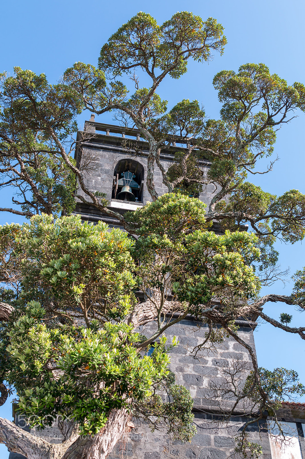 Canon EOS 70D sample photo. Açores photography