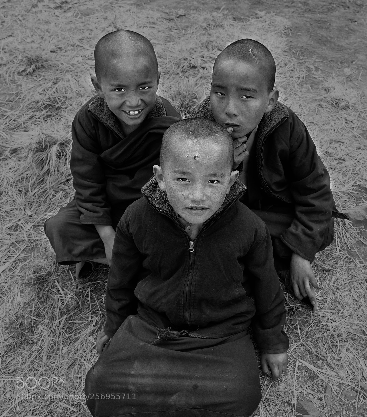 Nikon D800 sample photo. Bll photography