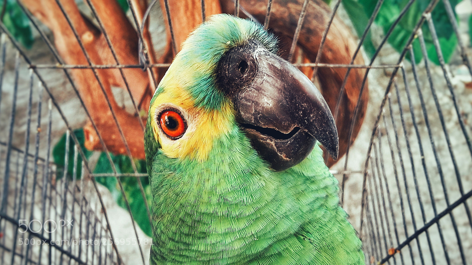 Samsung Galaxy Grand Prime sample photo. Untitled photography