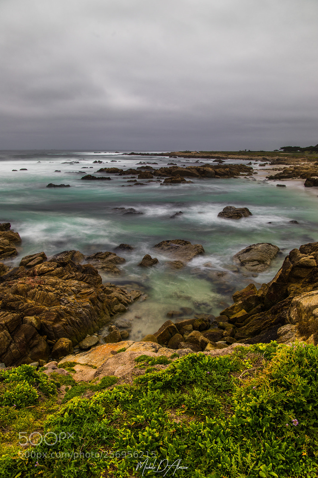 Canon EOS 6D Mark II sample photo. 17-mile drive photography