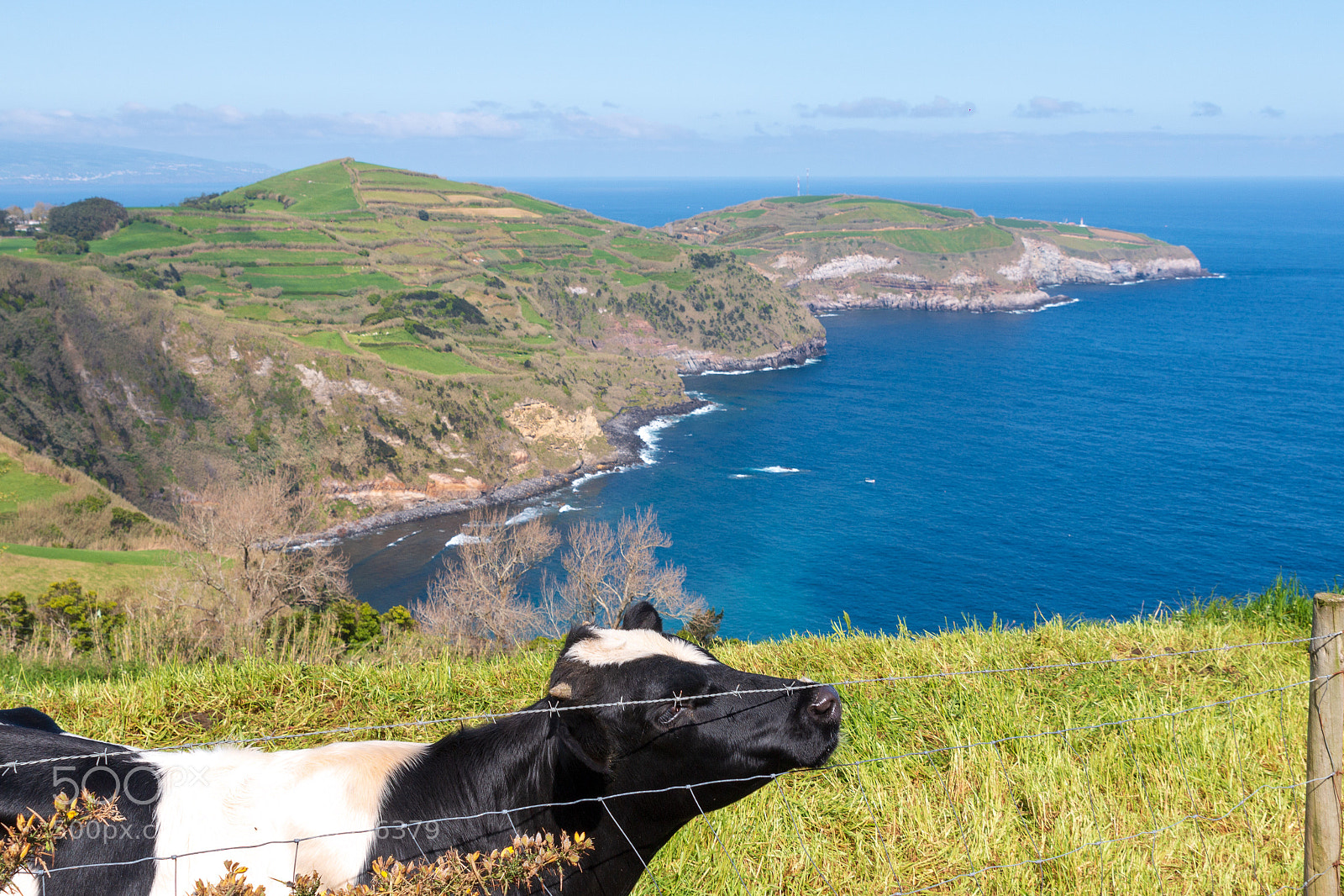 Canon EOS 70D sample photo. Açores photography