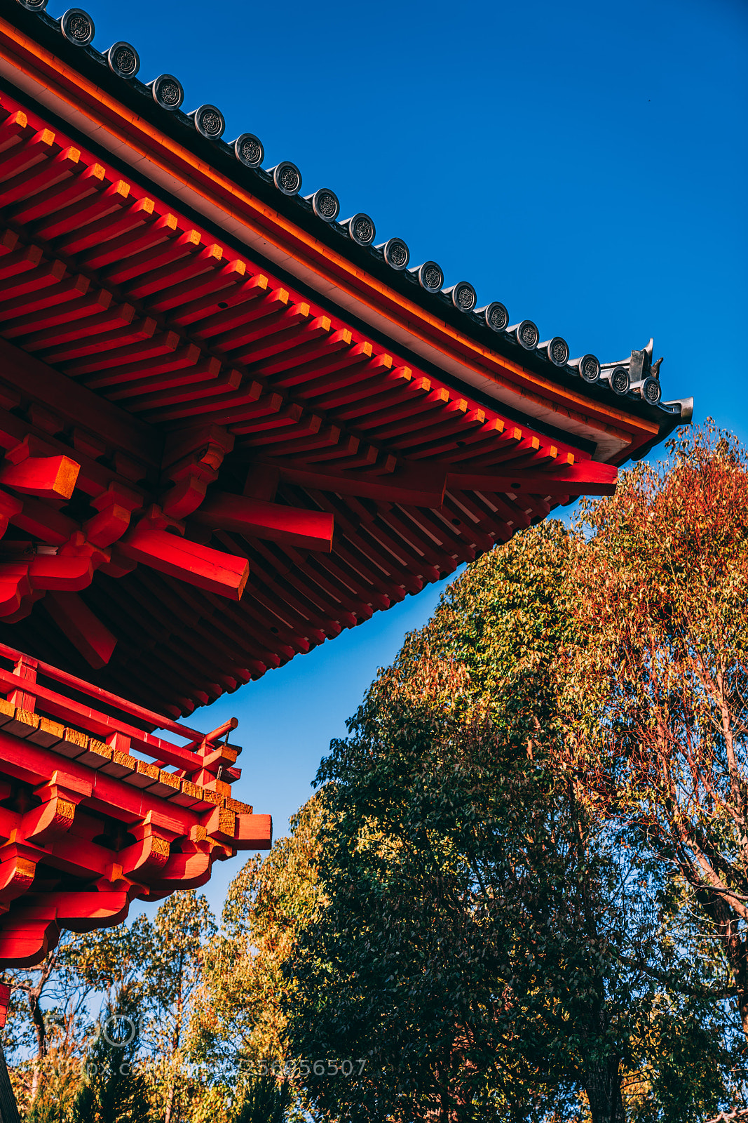 Sony a7R III sample photo. Syoro corner photography