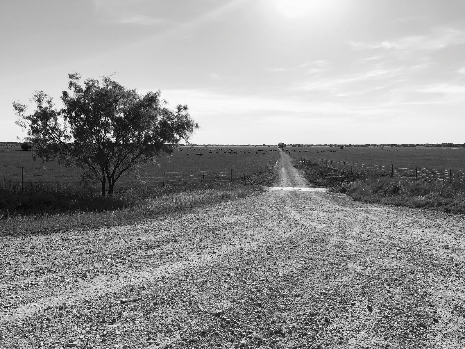 Apple iPhone X sample photo. Gravel path photography