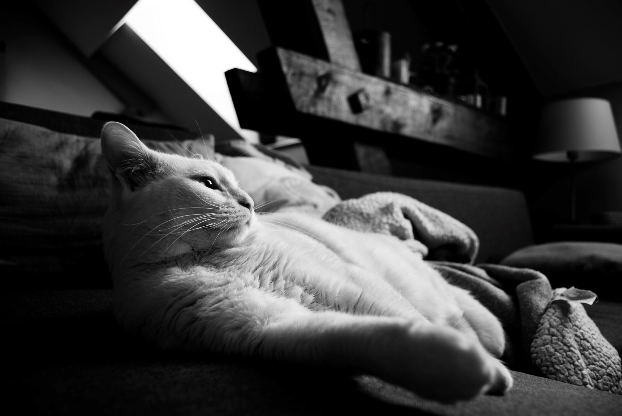 Nikon D3000 sample photo. Le repos de la guerrière photography