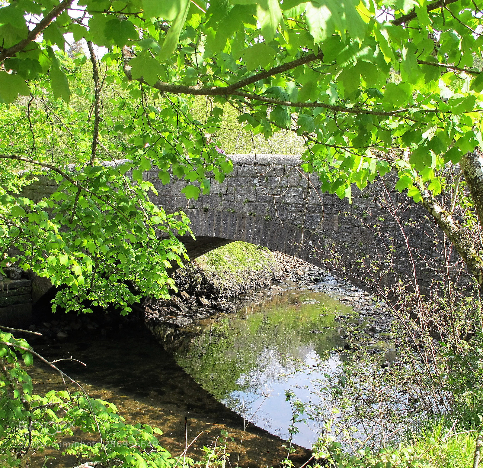 Canon PowerShot G12 sample photo. Hidden bridge photography