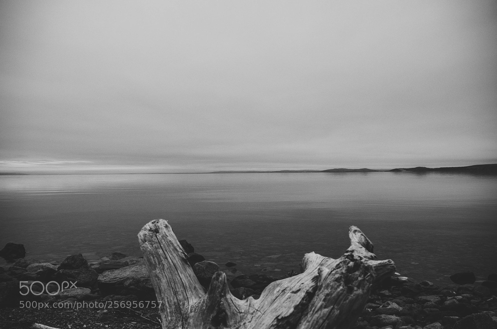 Pentax K-50 sample photo. Still bras d'or photography
