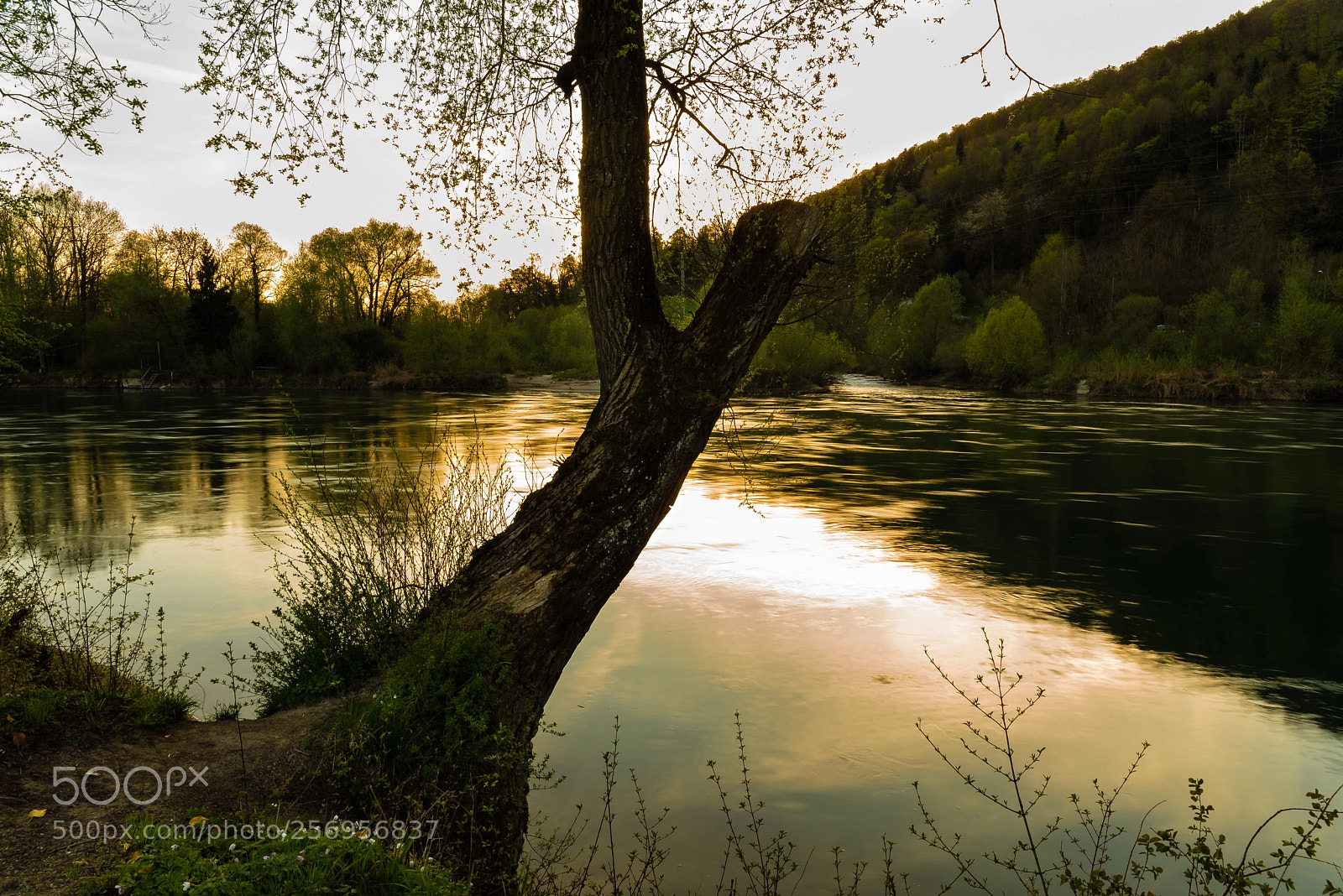 Nikon D750 sample photo. Golden light photography