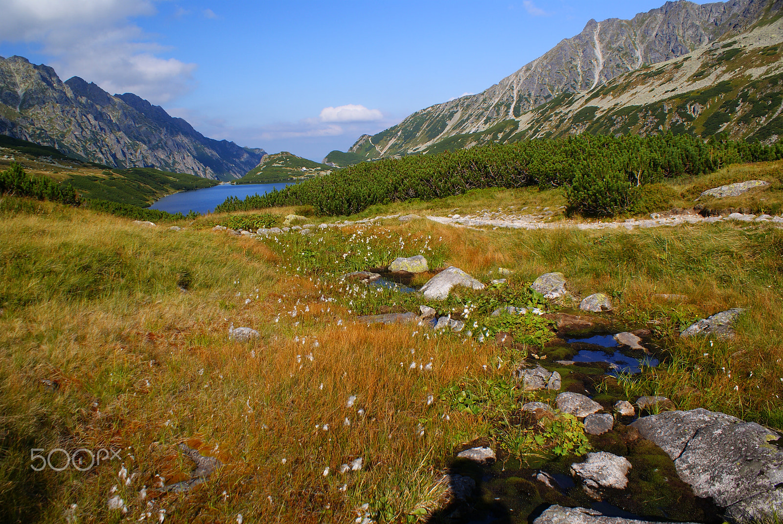 Sony Alpha DSLR-A300 sample photo. The valley photography