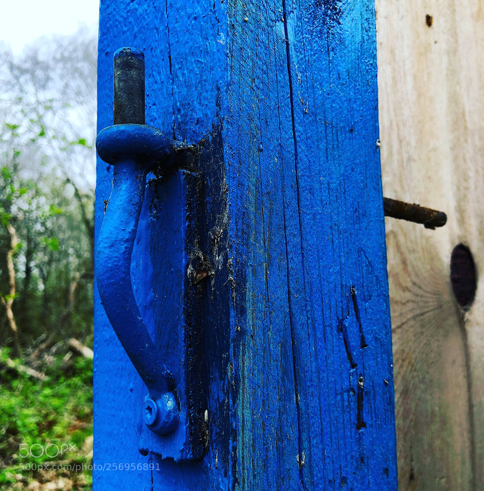 Apple iPhone 8 Plus sample photo. Blue is amazing photography