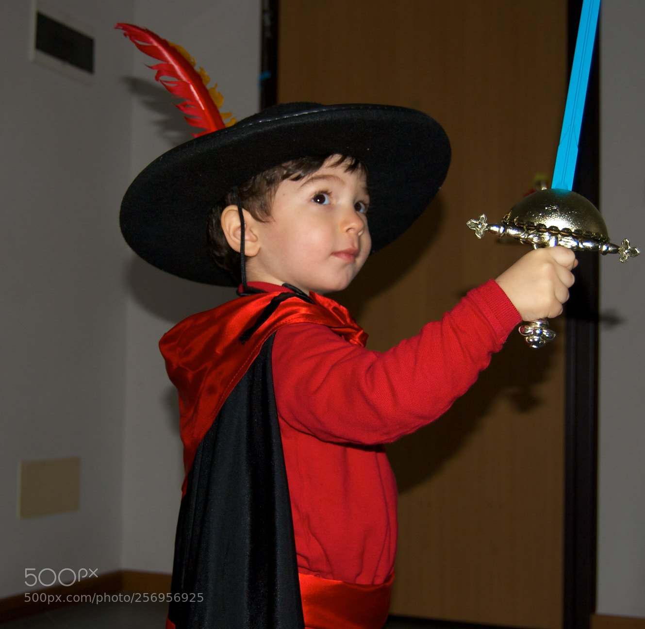 Nikon D60 sample photo. Version photography