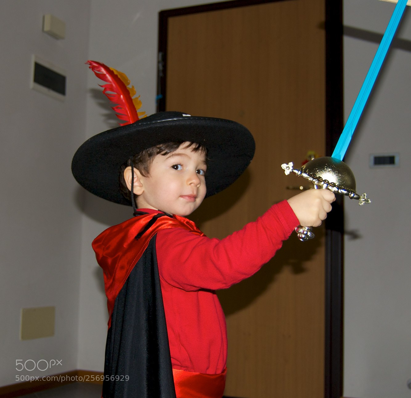 Nikon D60 sample photo. Version photography