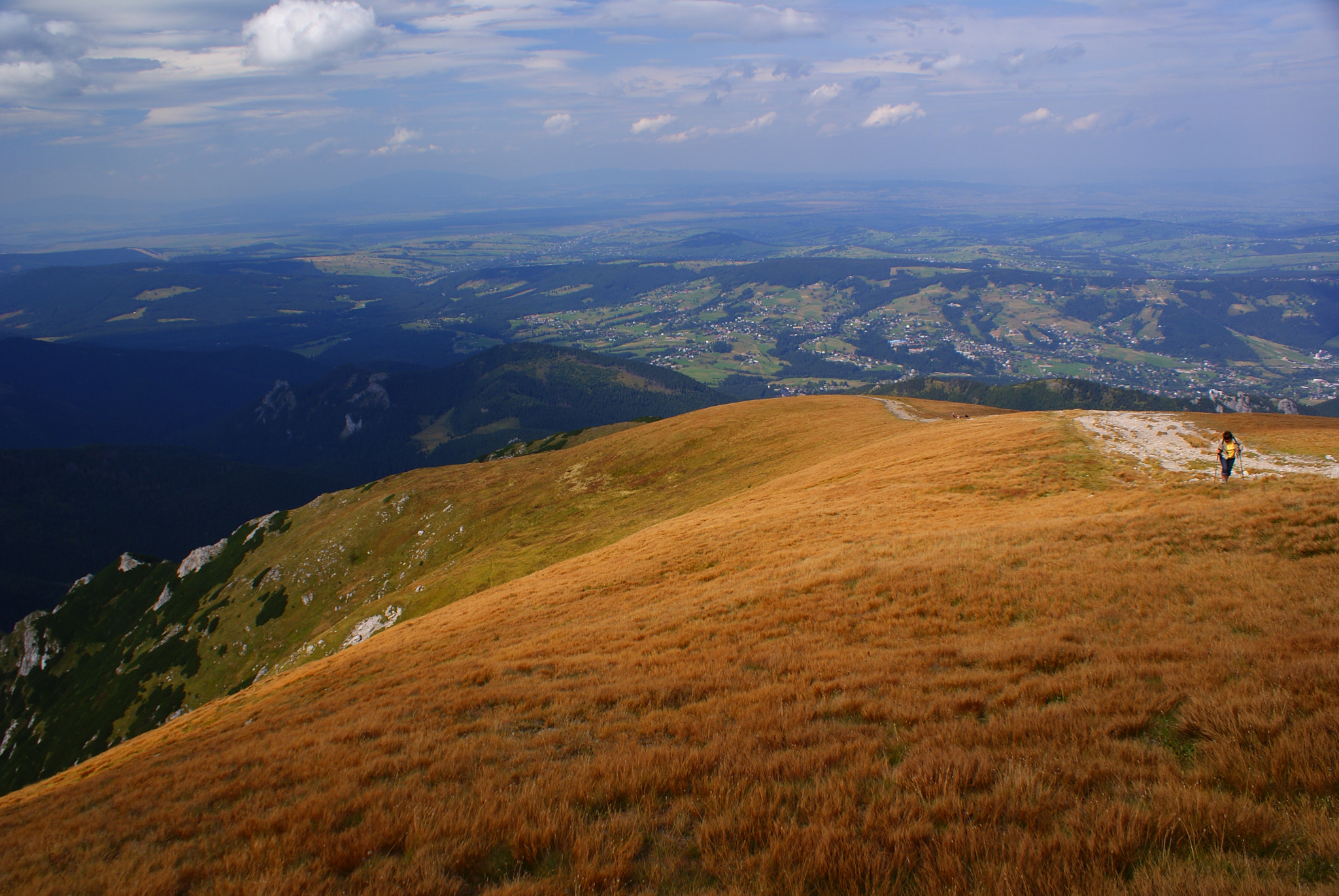 Sony Alpha DSLR-A300 sample photo. Path down photography
