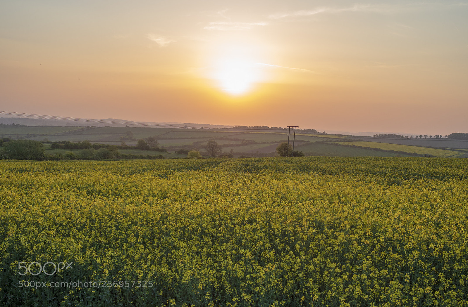 Olympus PEN-F sample photo. This evenings sunset photography