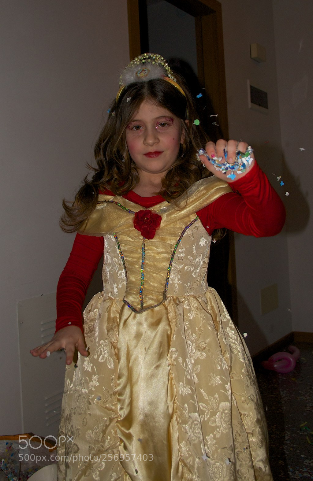 Nikon D60 sample photo. Version photography