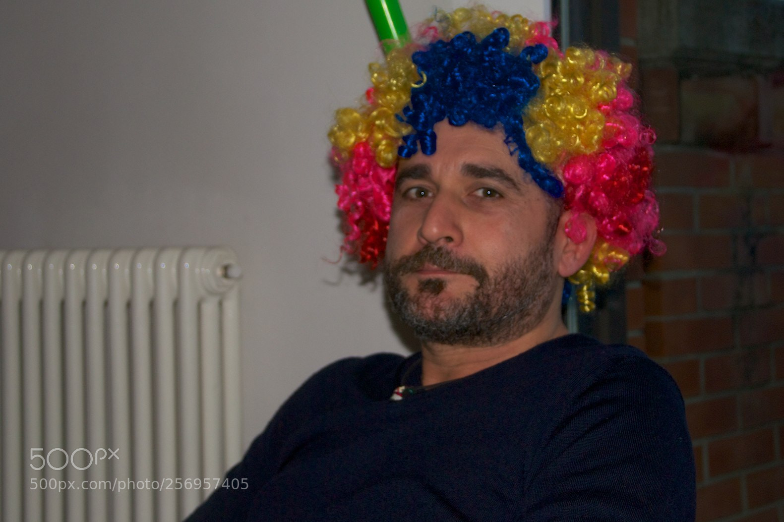 Nikon D60 sample photo. Version photography