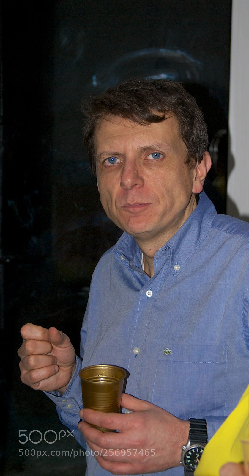 Nikon D60 sample photo. Version photography