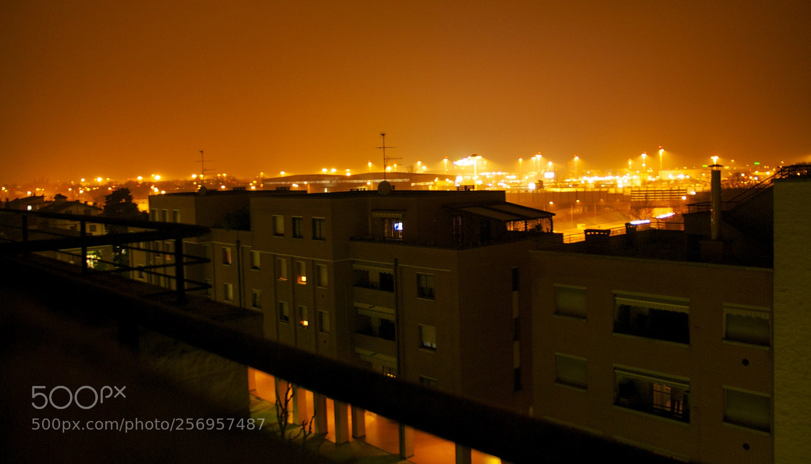 Nikon D60 sample photo. Version photography