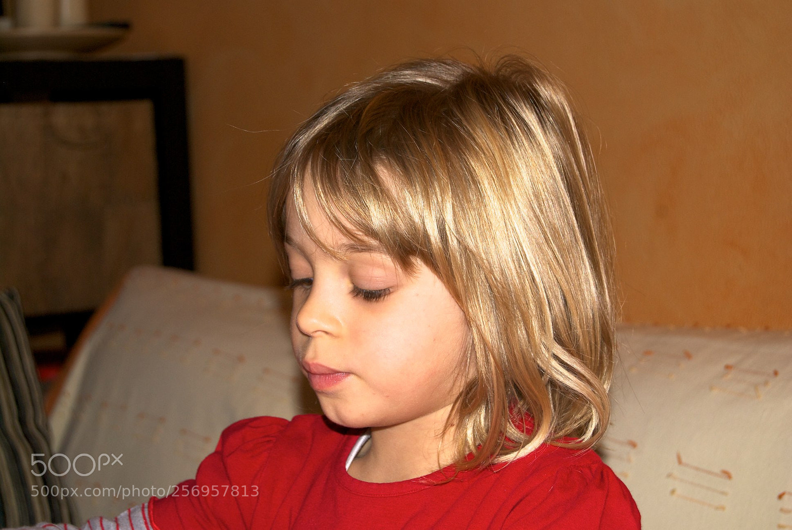 Nikon D60 sample photo. Version photography