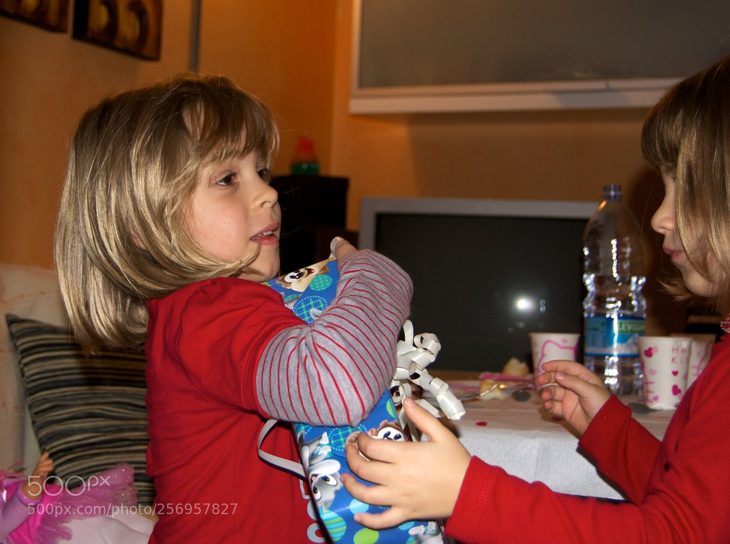 Nikon D60 sample photo. Version photography