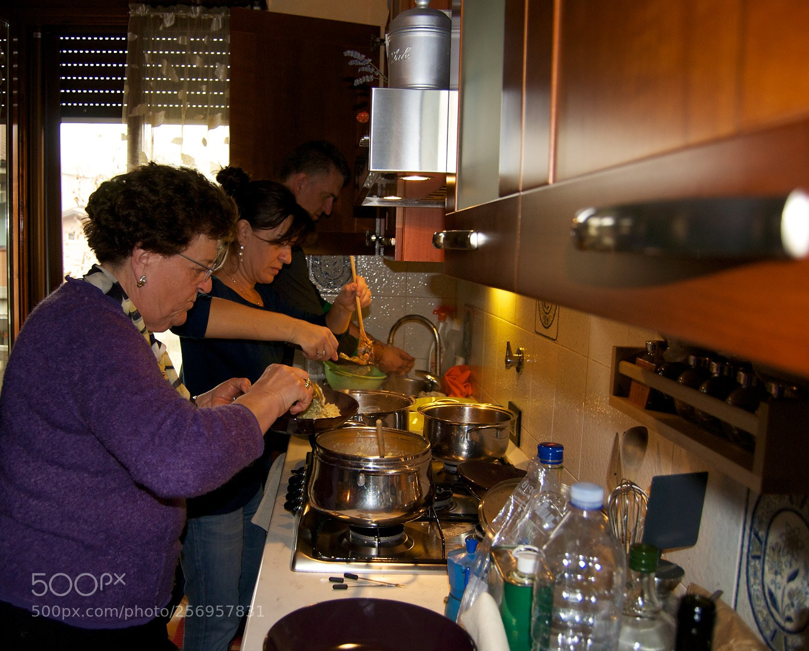 Nikon D60 sample photo. Version photography
