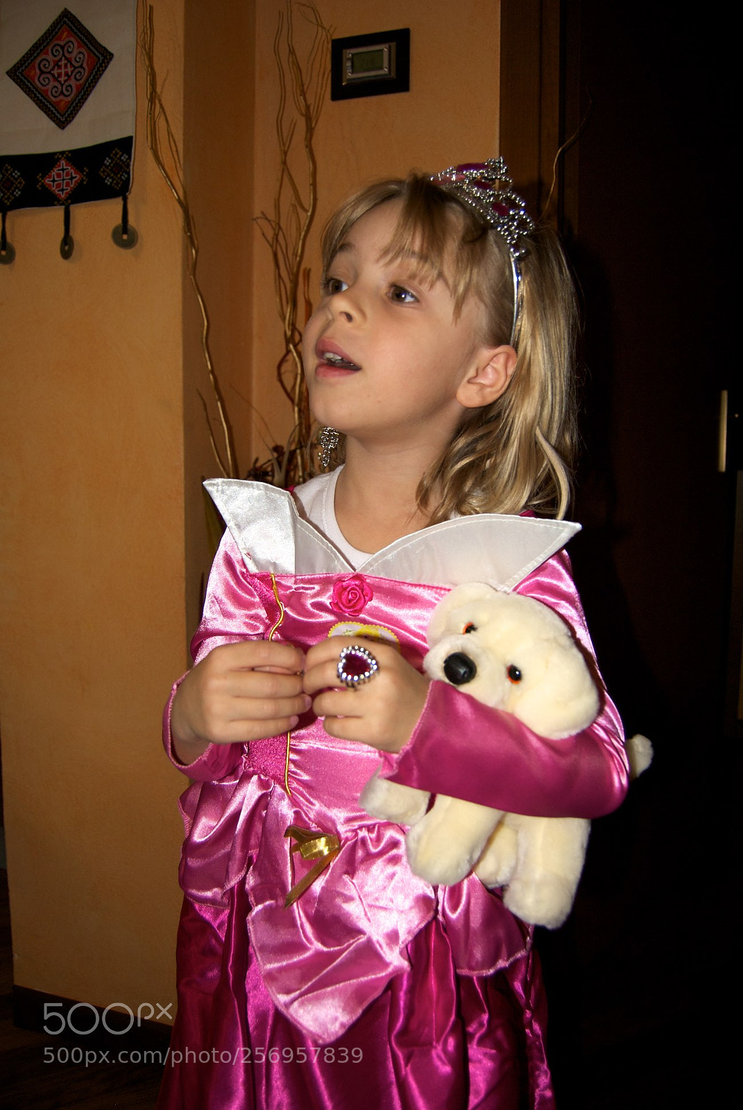 Nikon D60 sample photo. Version photography