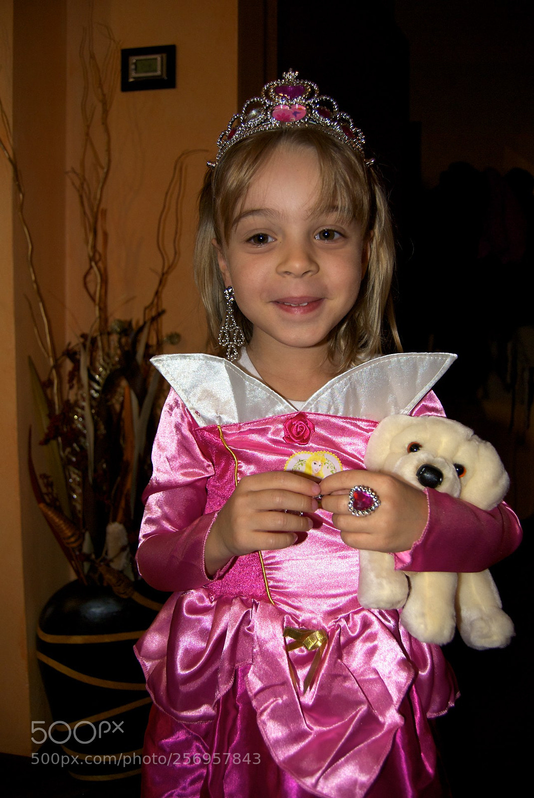 Nikon D60 sample photo. Version photography