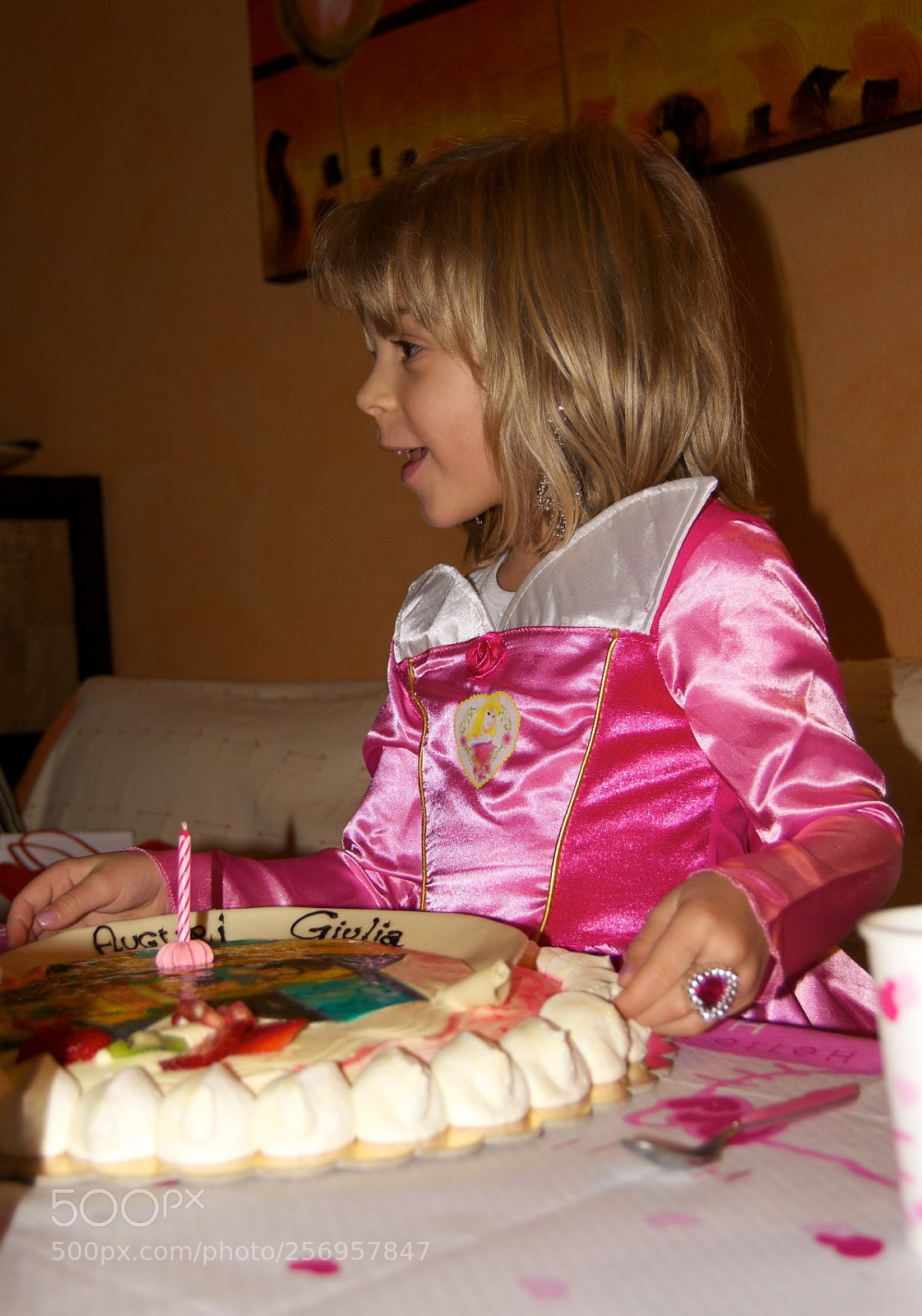 Nikon D60 sample photo. Version photography
