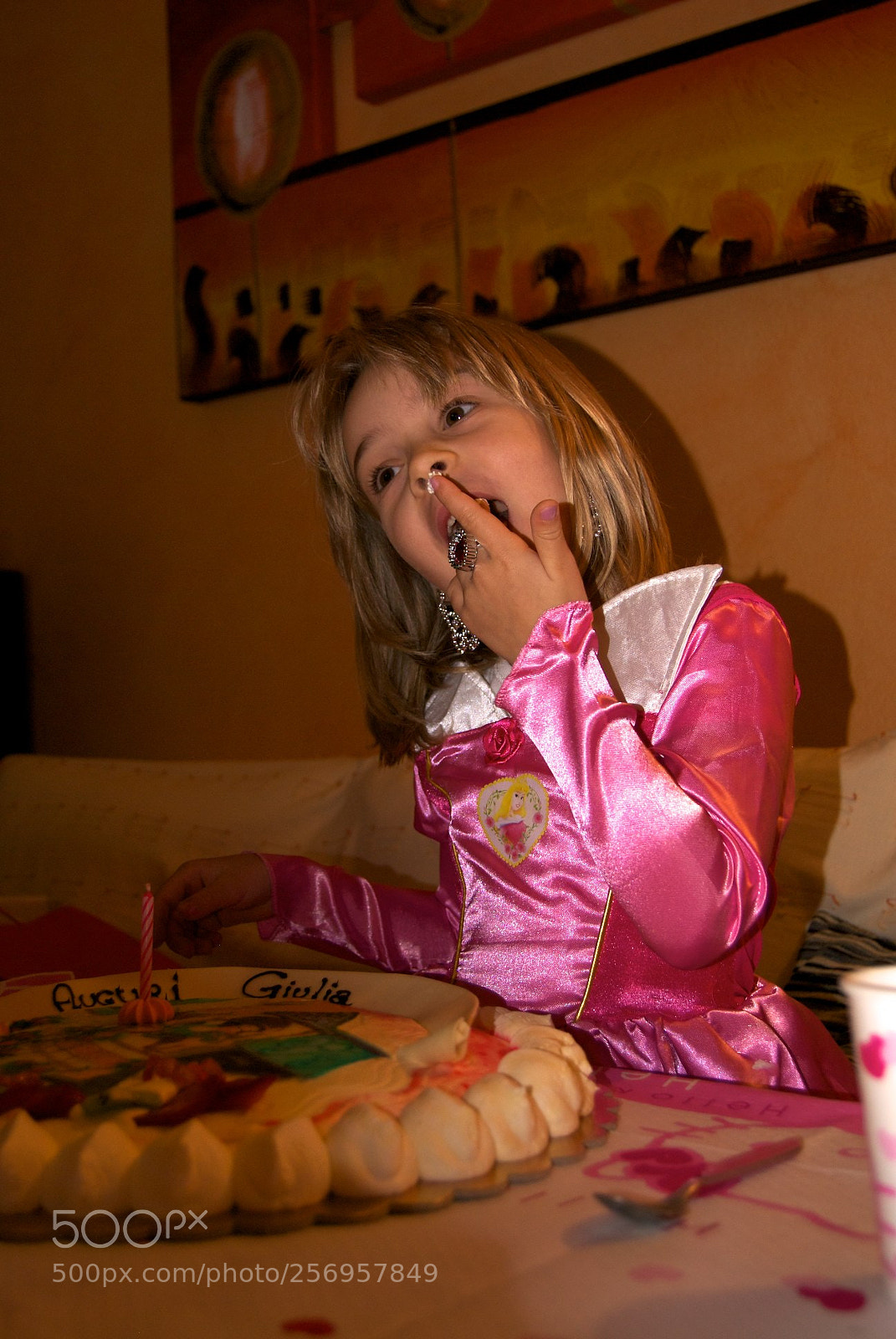 Nikon D60 sample photo. Version photography