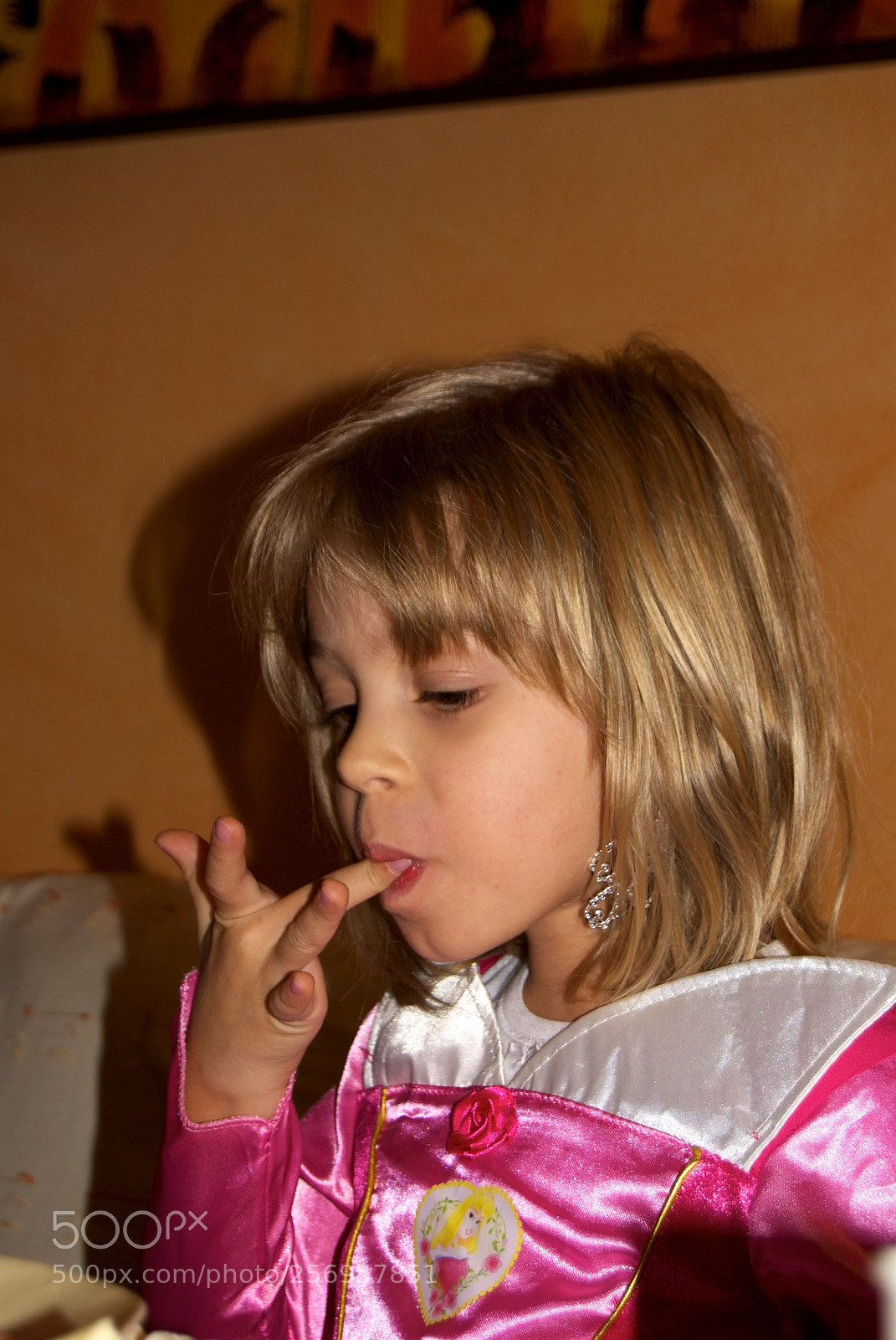 Nikon D60 sample photo. Version photography
