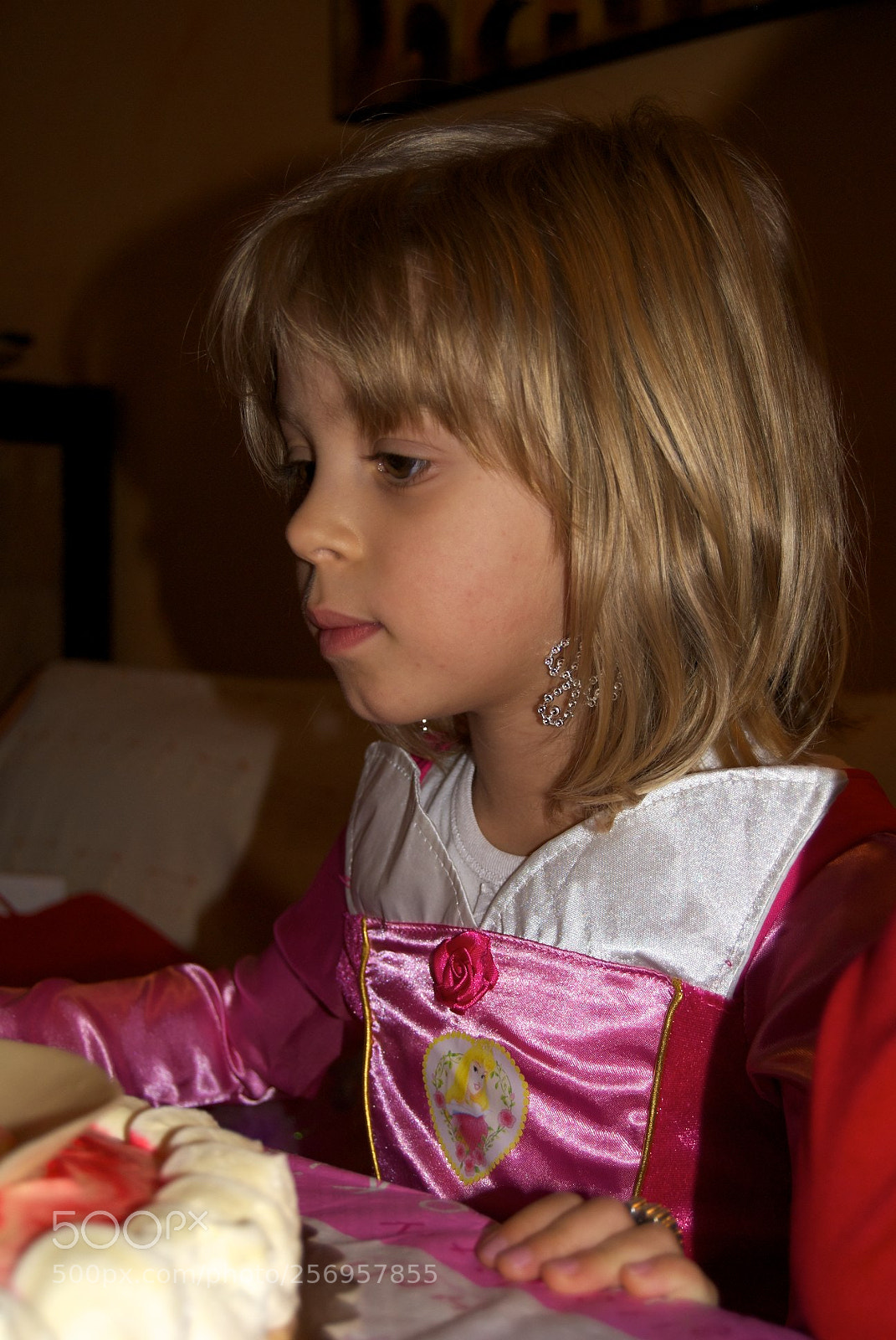 Nikon D60 sample photo. Version photography