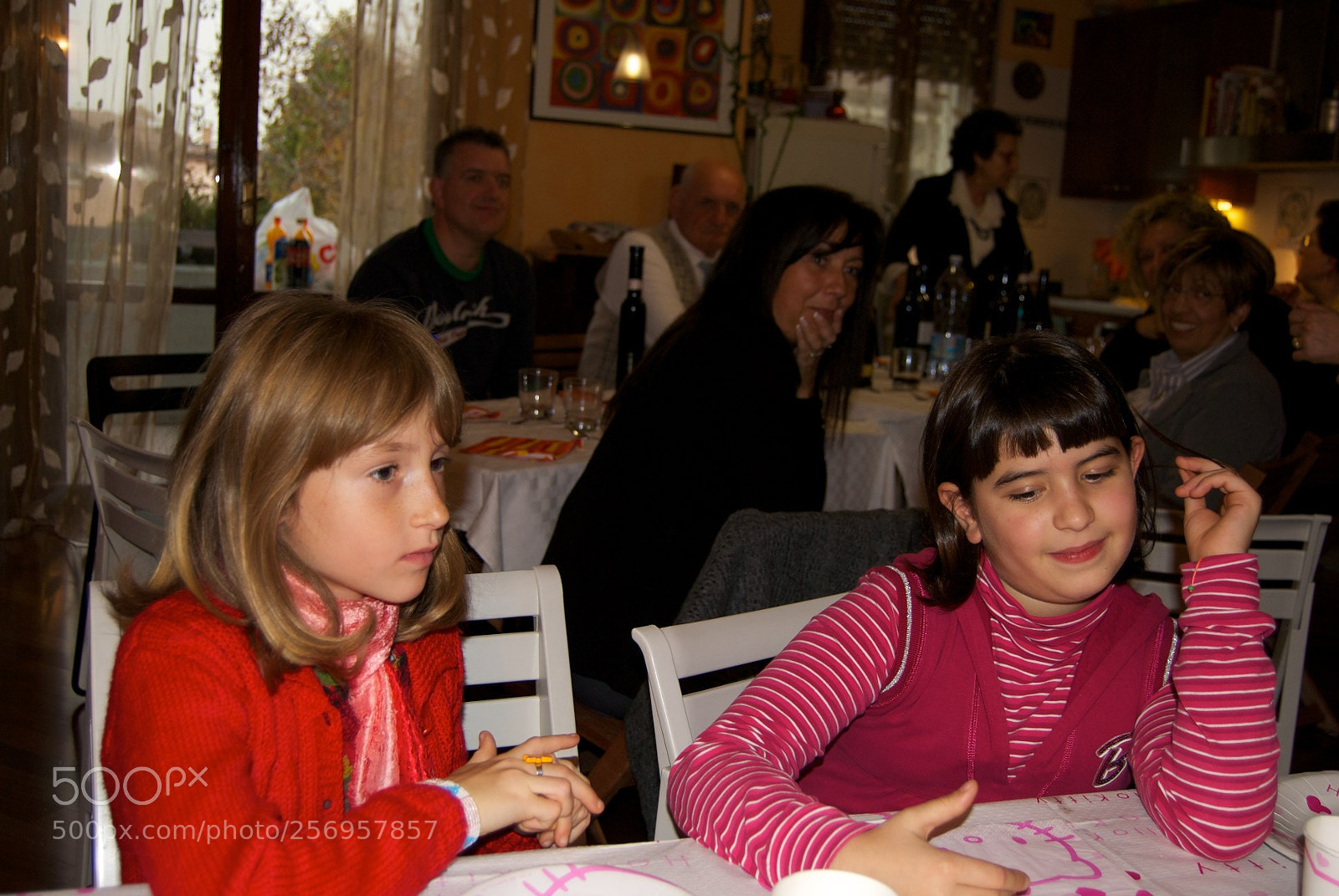 Nikon D60 sample photo. Version photography