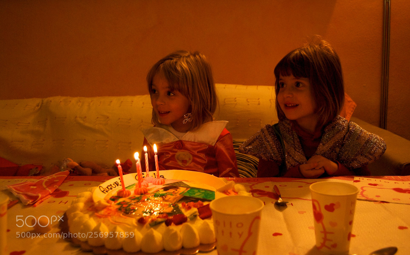 Nikon D60 sample photo. Version photography