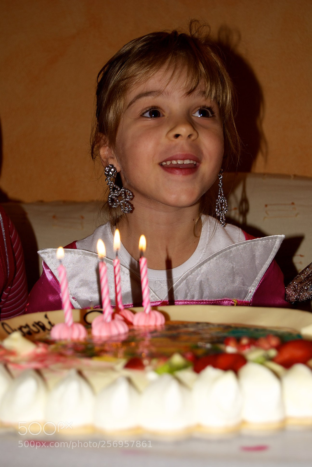 Nikon D60 sample photo. Version photography