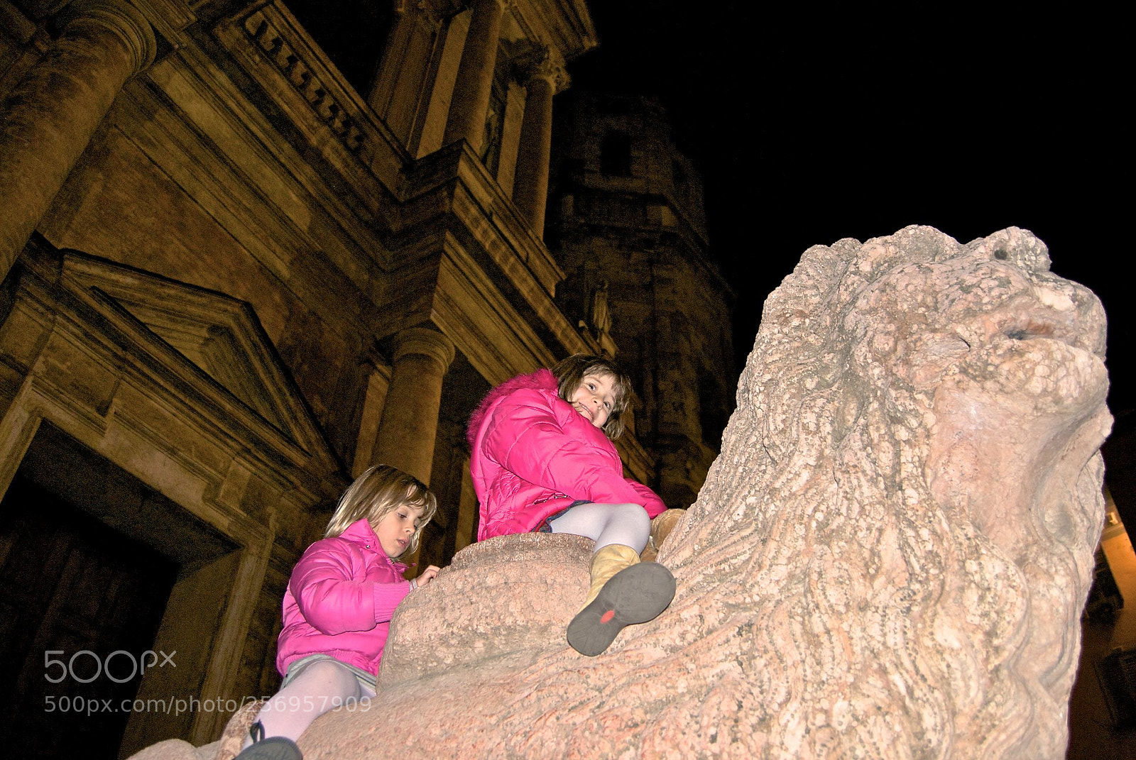 Nikon D60 sample photo. Version photography