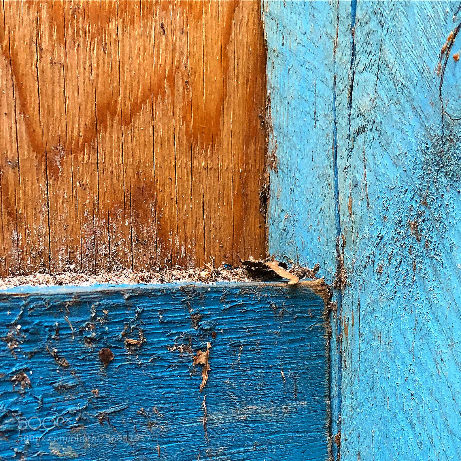 Apple iPhone 8 Plus sample photo. Lovely colours on wood photography