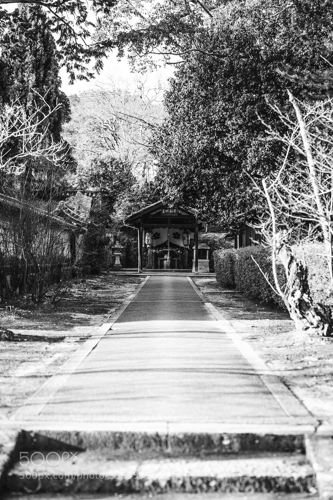 Sony a7R III sample photo. 水掛不動堂 photography