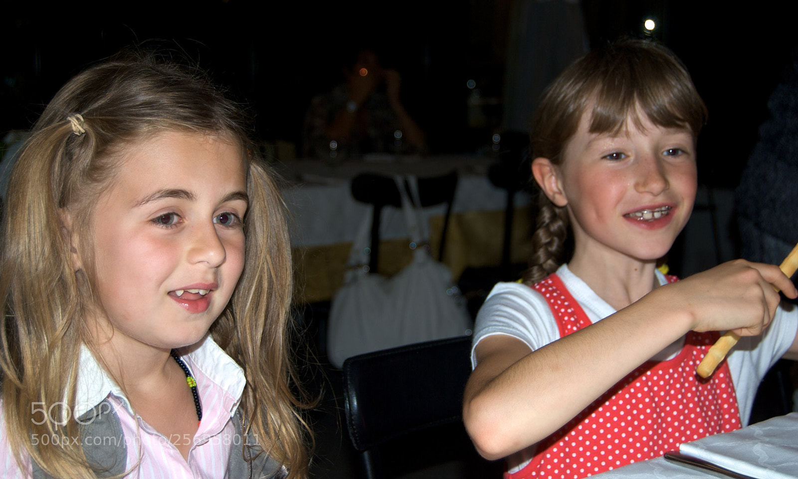 Nikon D60 sample photo. Version photography