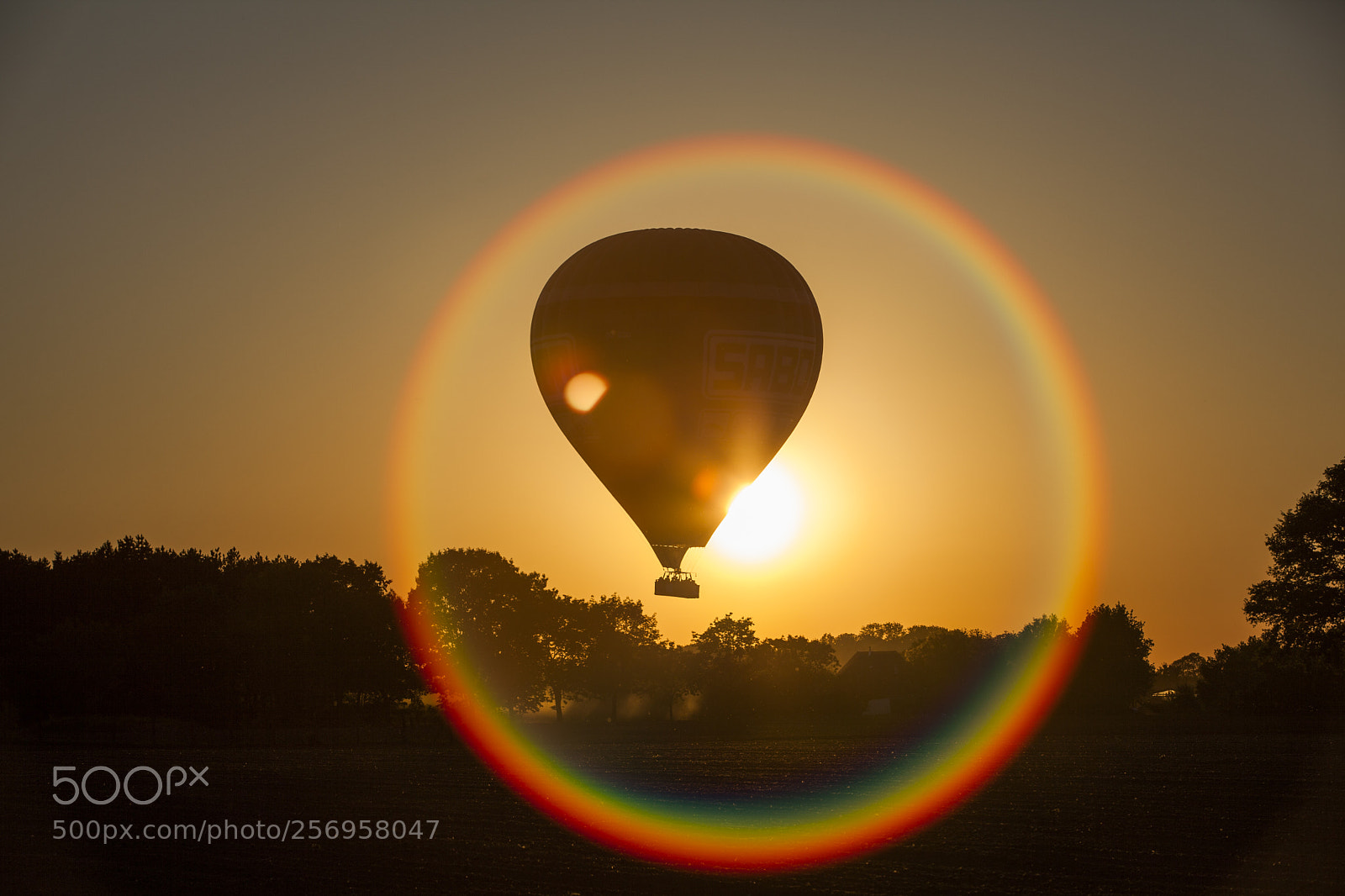 Canon EOS 5D Mark II sample photo. Natural lens flare photography