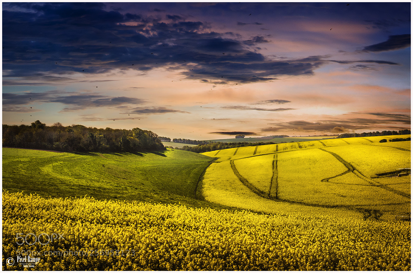 Nikon D7000 sample photo. Farm field photography