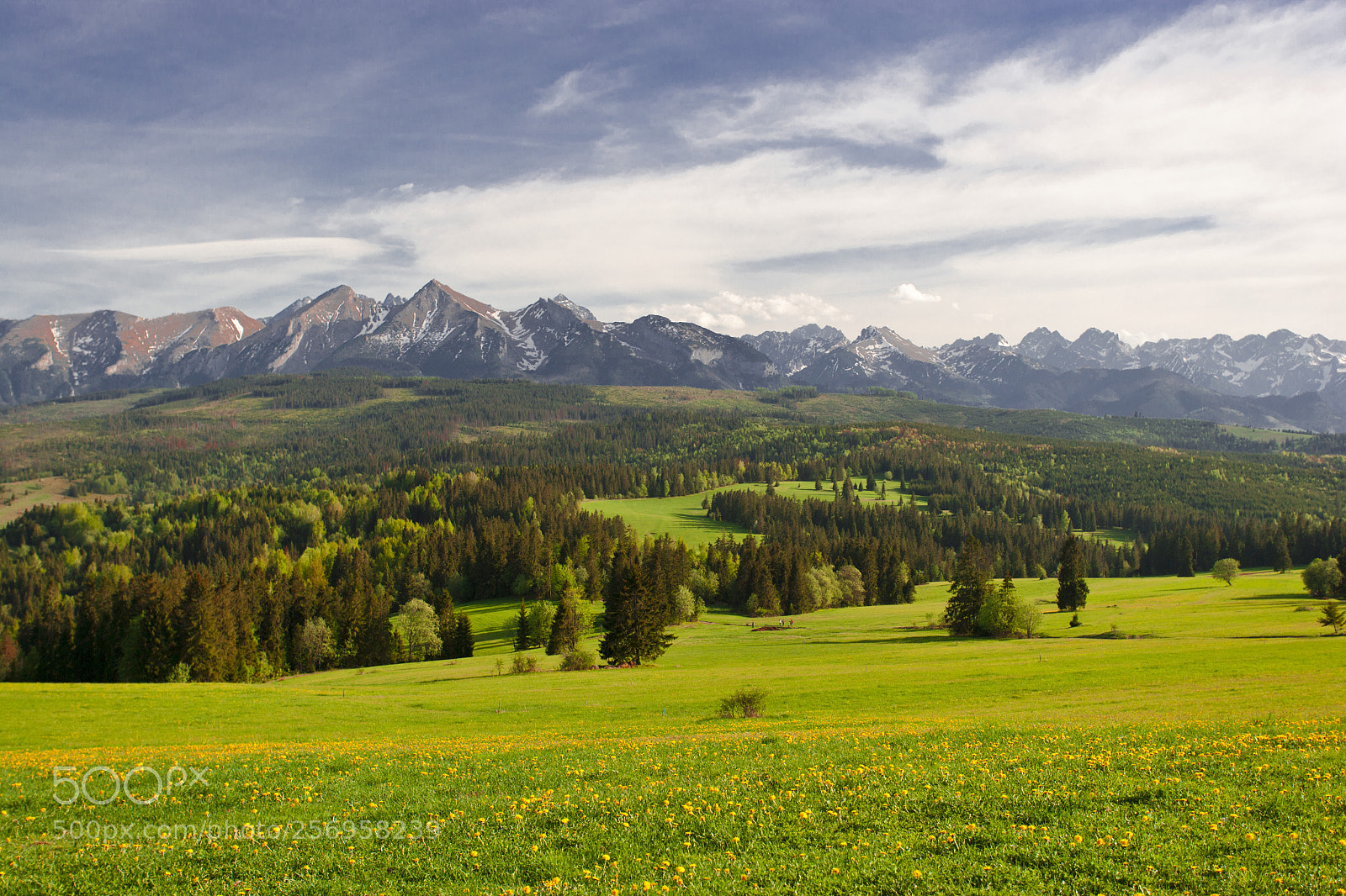 Canon EOS-1Ds Mark II sample photo. Tatry photography
