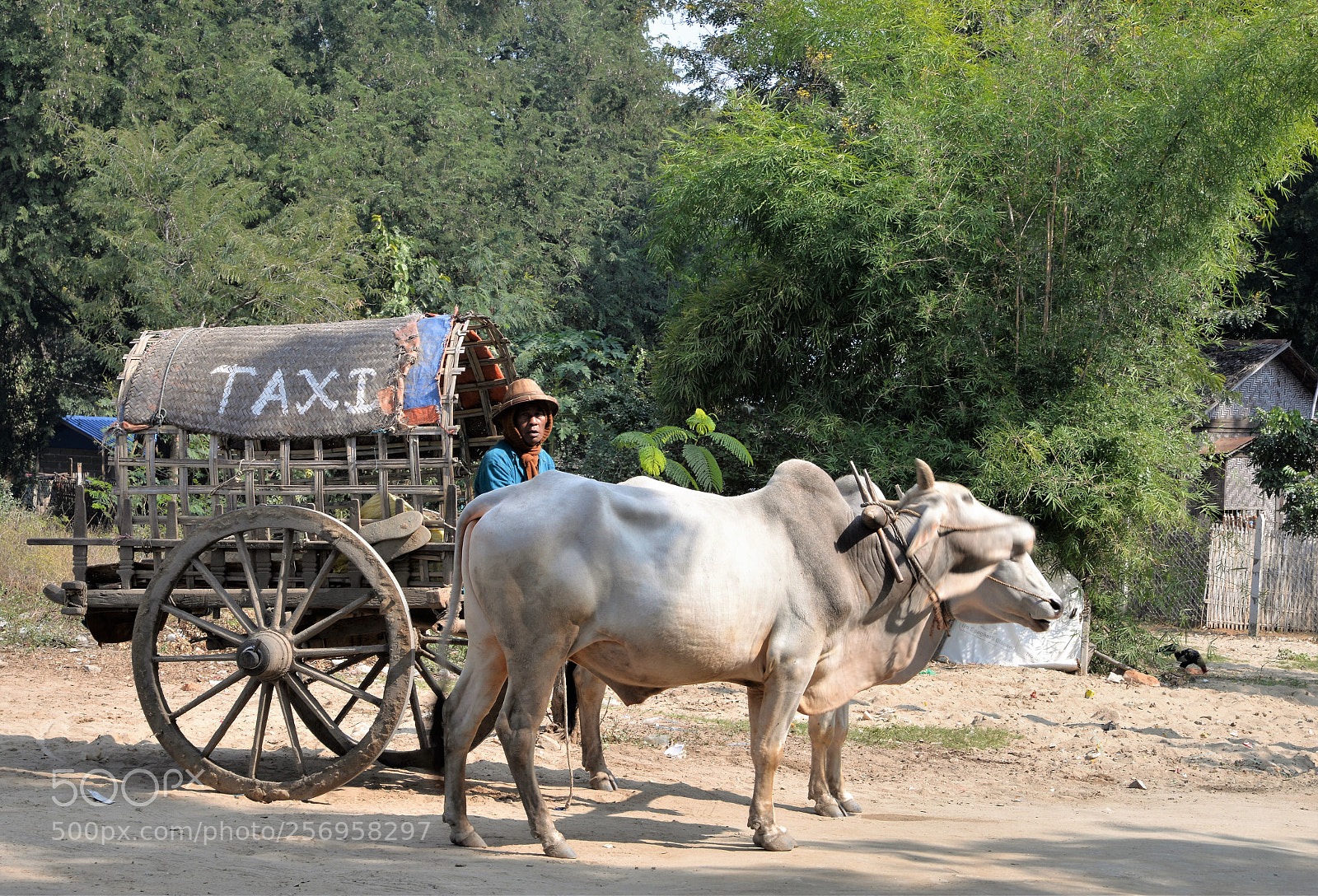 Nikon D610 sample photo. Taxi local /7711 photography