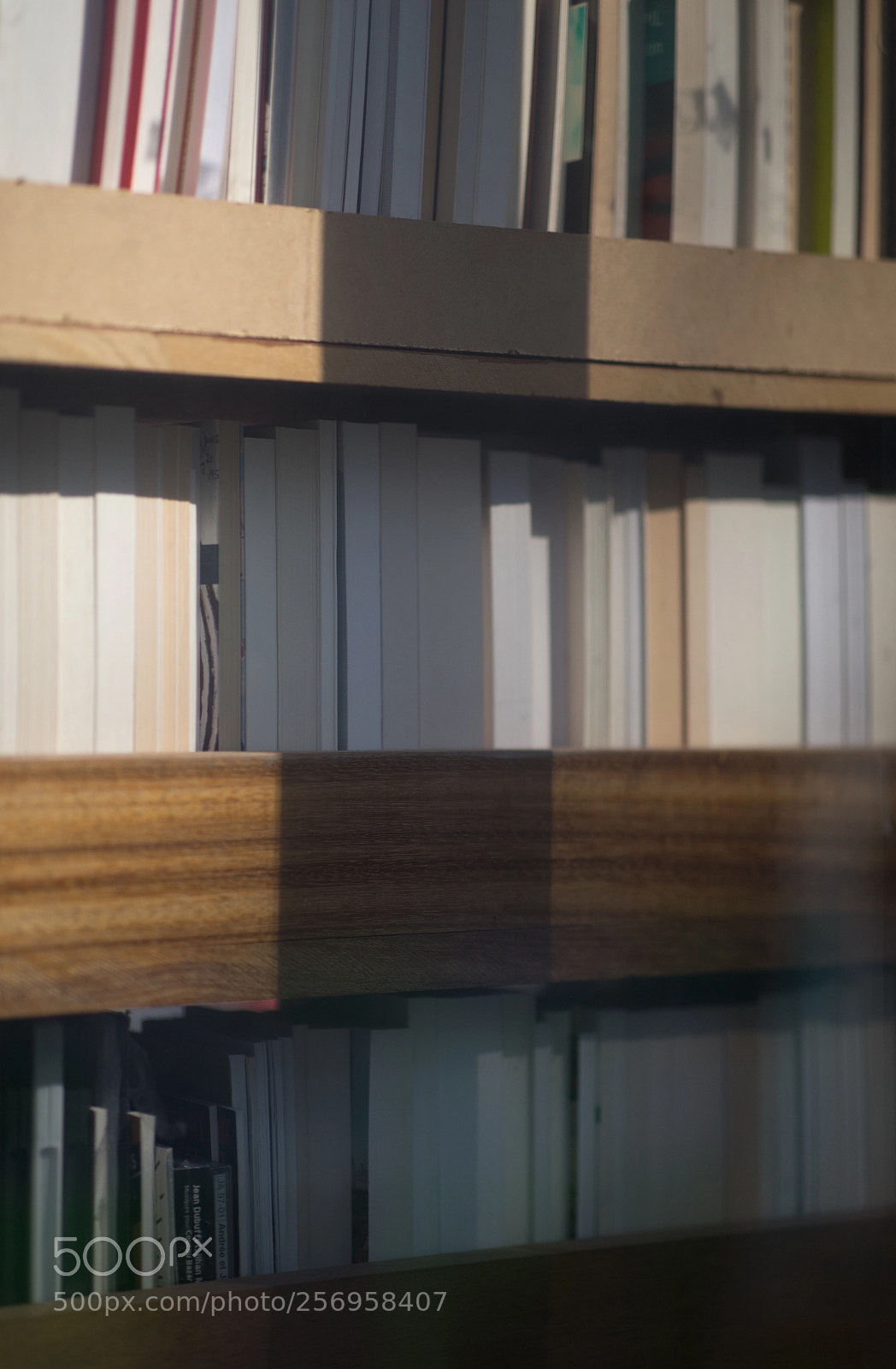Canon EOS 6D sample photo. Reading is the light photography