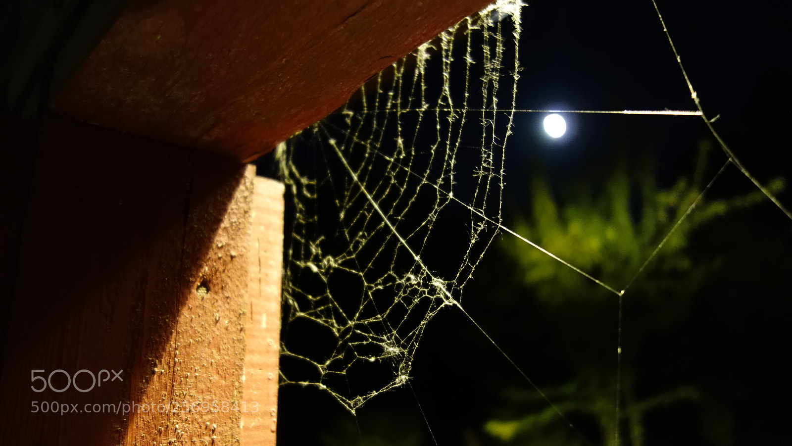 Sony Cyber-shot DSC-RX100 sample photo. The web photography