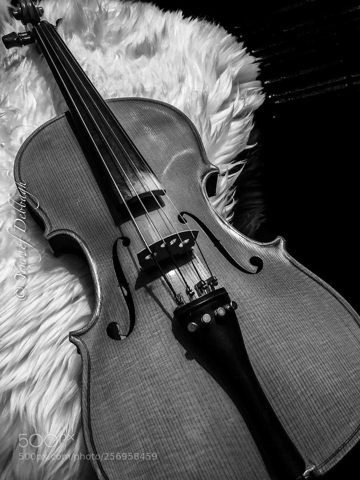 Apple iPhone X sample photo. Violon photography