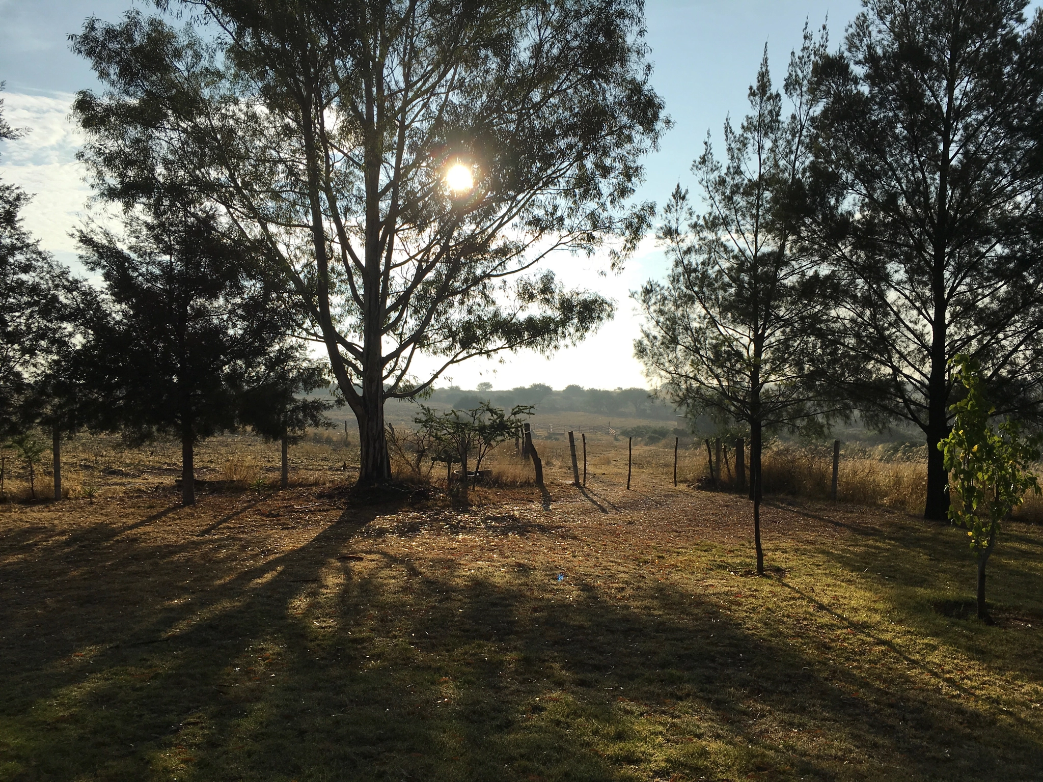 Apple iPad Pro sample photo. Country morning photography