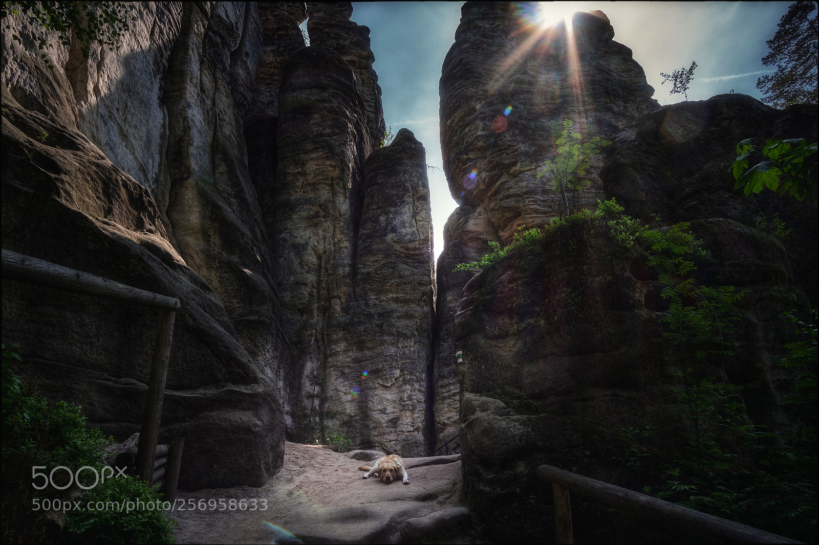 Fujifilm X-T1 sample photo. Among the rocks photography