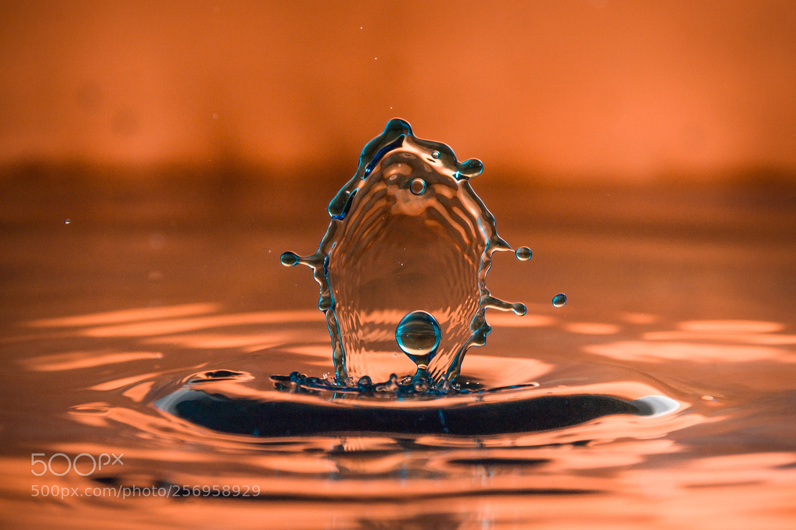 Nikon D3100 sample photo. Splash 2 photography