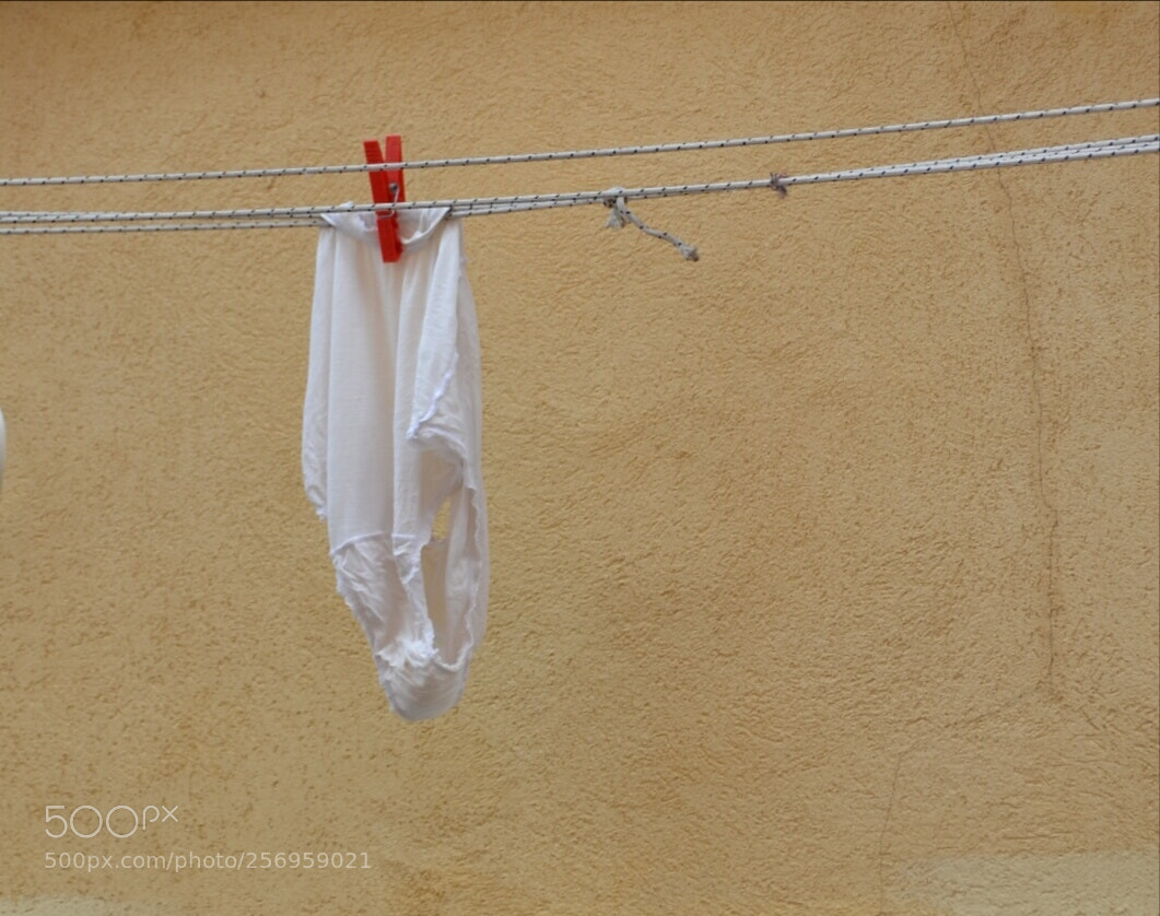 Nikon D3100 sample photo. Untitled photography