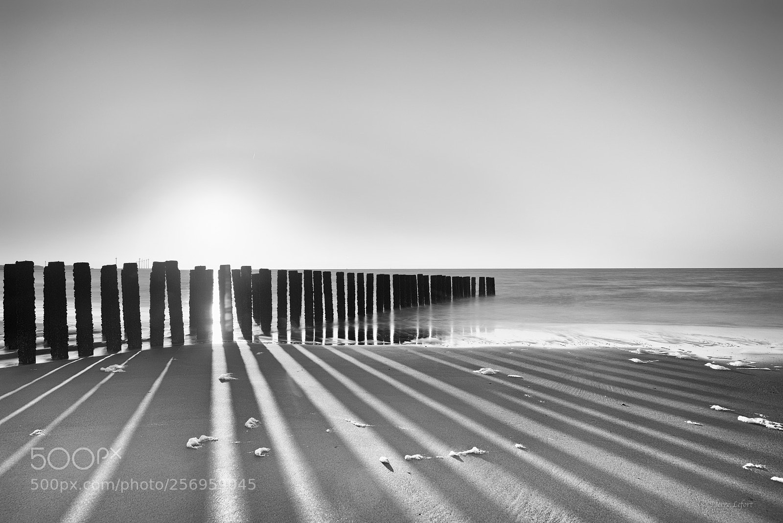 Nikon D800 sample photo. Belgian shadows photography