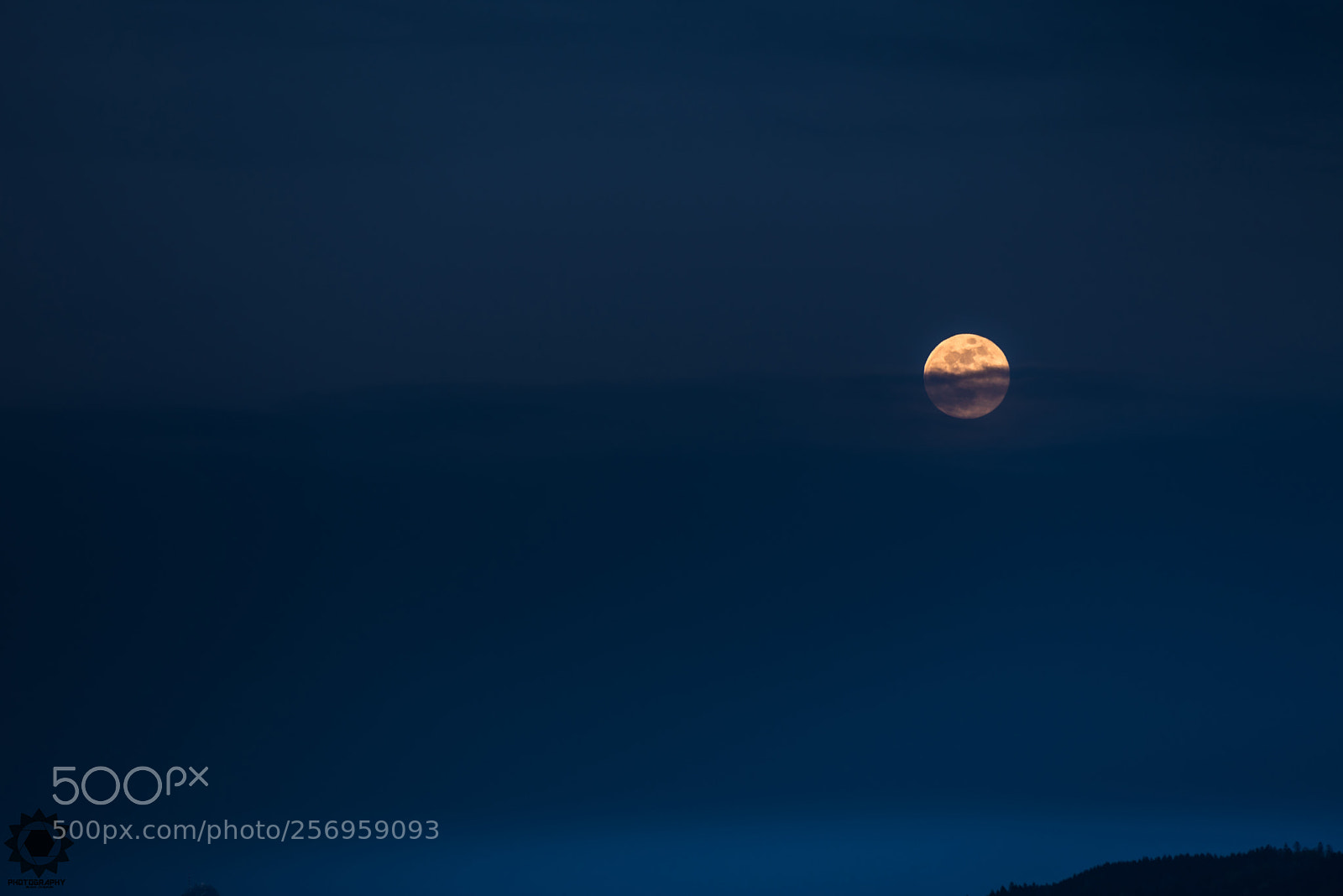 Nikon D750 sample photo. Moon photography